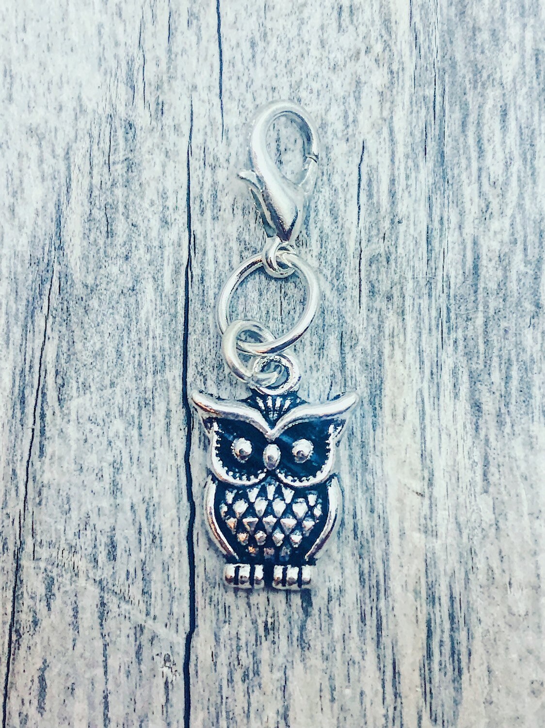Silver Owl Progress Marker on Clasp, Knitting Crochet Accessory